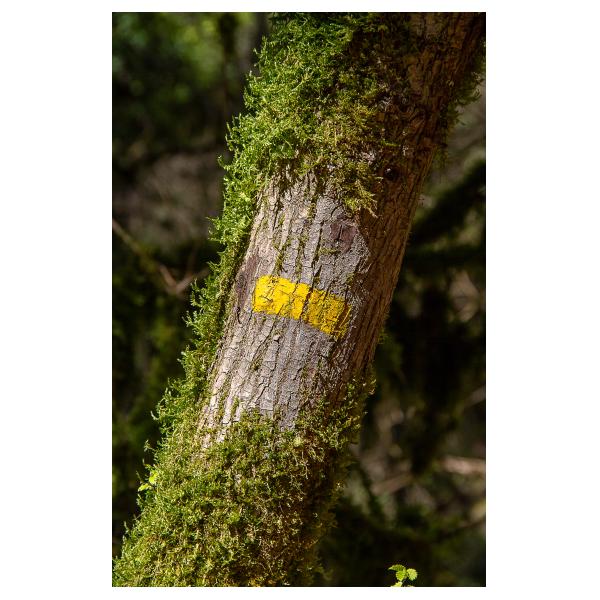 PHOTO84, CLUB, 84 , LUBERON